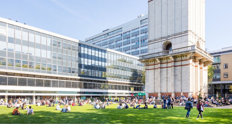 Бакалаврат у Великій Британії - Academic Advisor