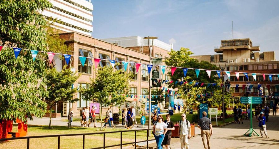 University of Hull - Academic Advisor