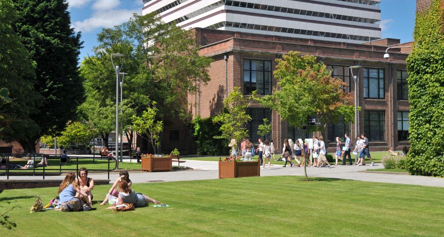 University of Hull - Academic Advisor