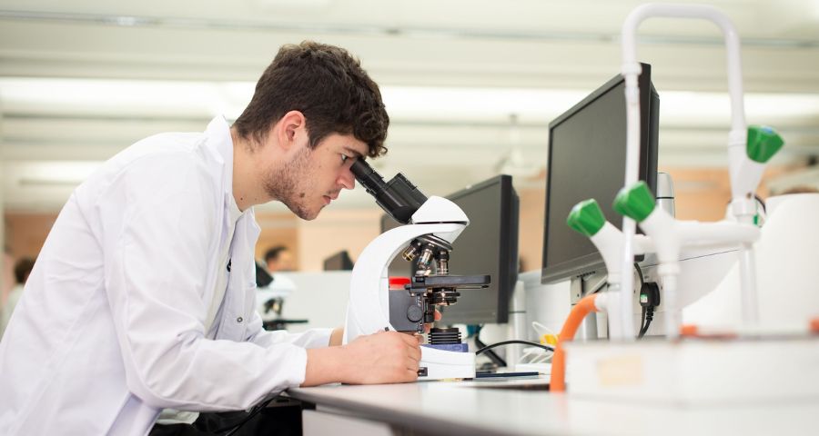 University of Hull - Academic Advisor