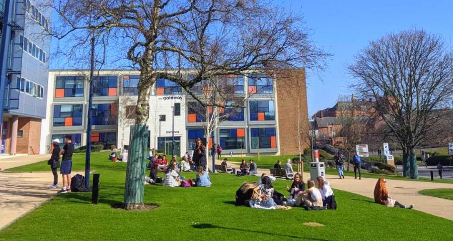 University of Sunderland - Academic Advisor