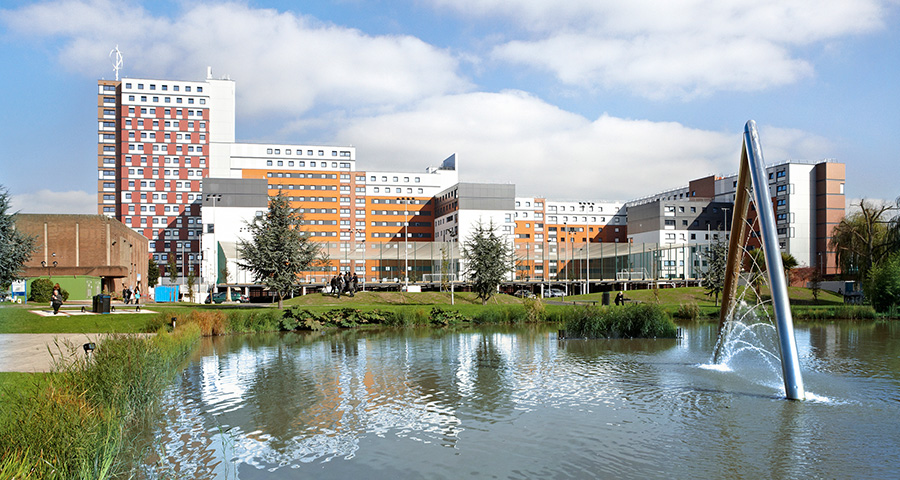 Наше сопровождение - Academic Advisor