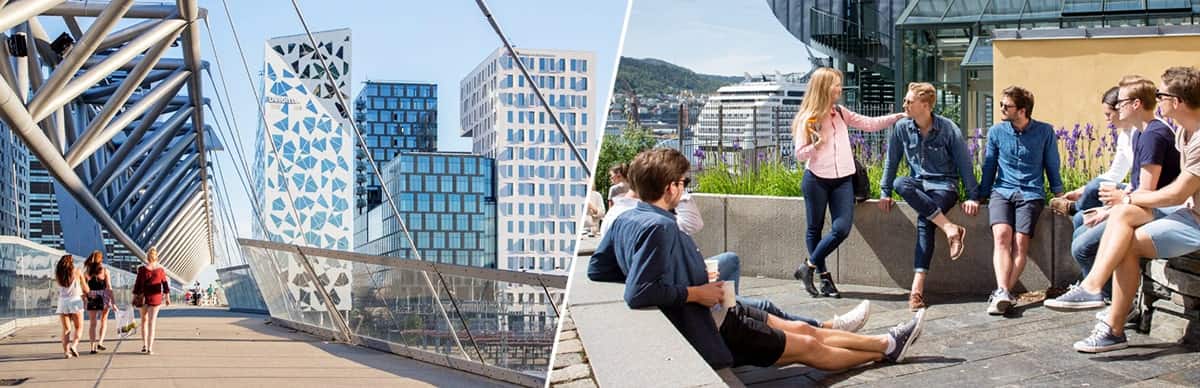 Учебные программы в Норвегии