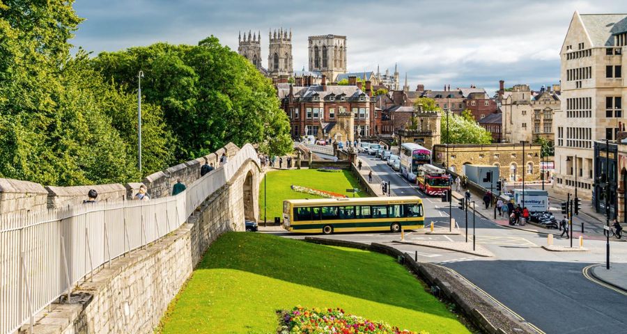 University of York - Academic Advisor