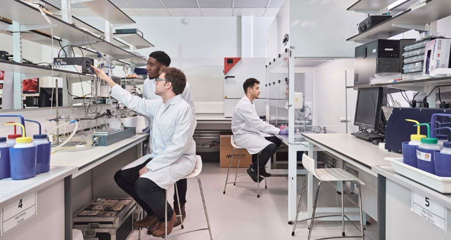 City, University of London - Academic Advisor