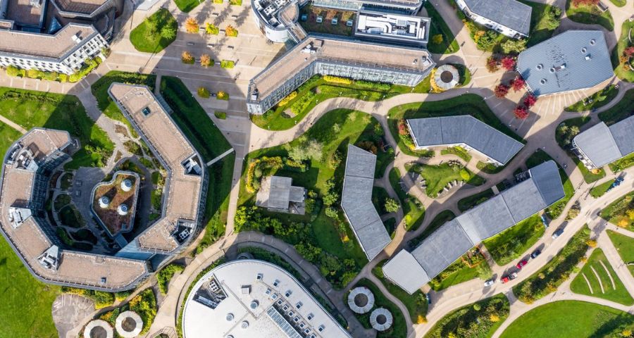 University of York - Academic Advisor