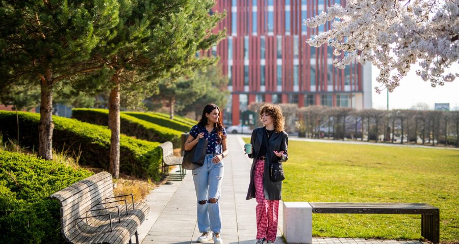 Birmingham City University - Academic Advisor