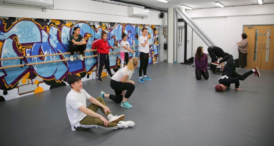 Cambridge School of Visual and Performing Arts - Academic Advisor