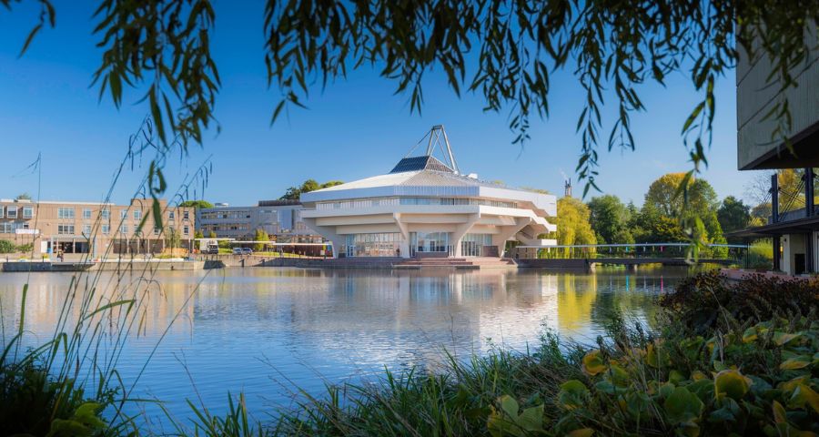 Наше сопровождение - Academic Advisor