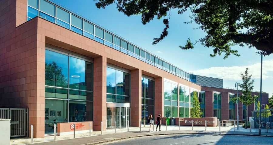 Queen’s University Belfast - Academic Advisor