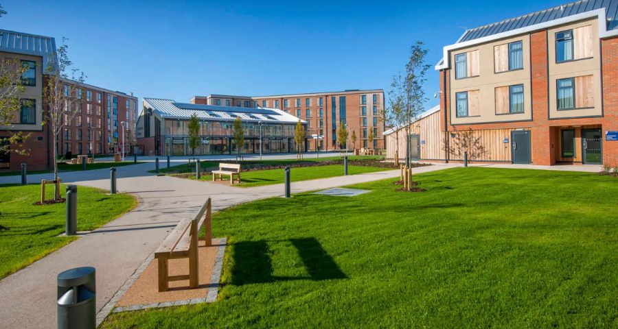 University of York - Academic Advisor