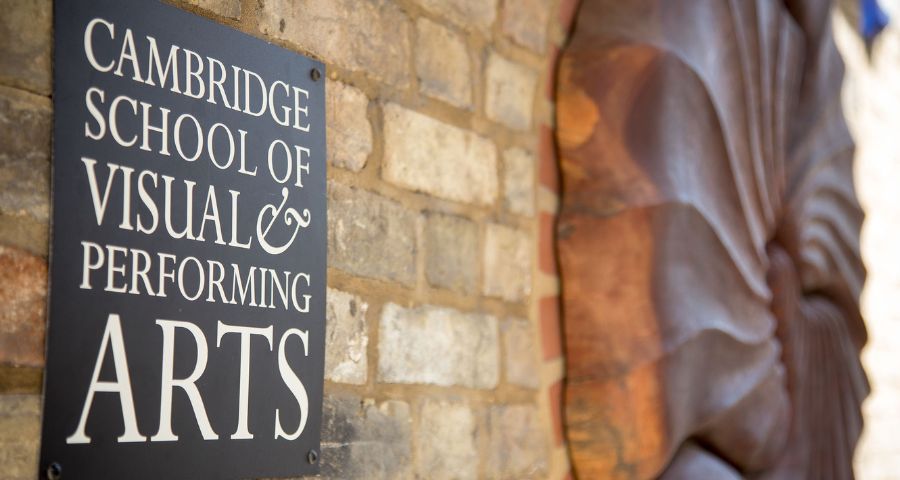Cambridge School of Visual and Performing Arts - Academic Advisor