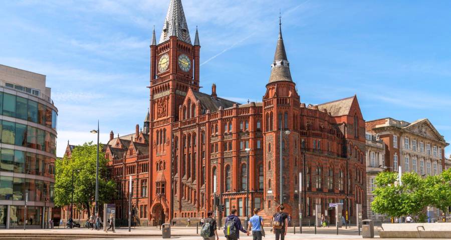 Наше сопровождение - Academic Advisor