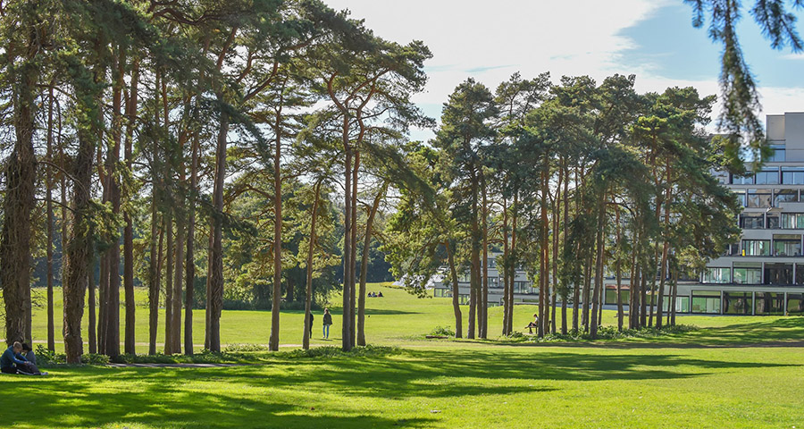 University of East Anglia - Academic Advisor