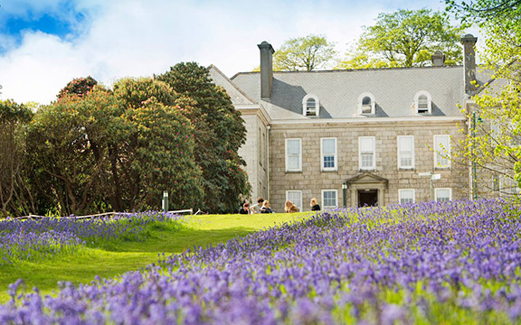 Наше сопровождение - Academic Advisor