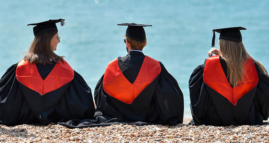 University of Sussex - Academic Advisor