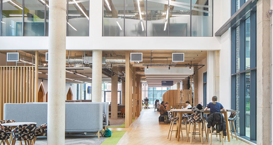 University of Sussex - Academic Advisor