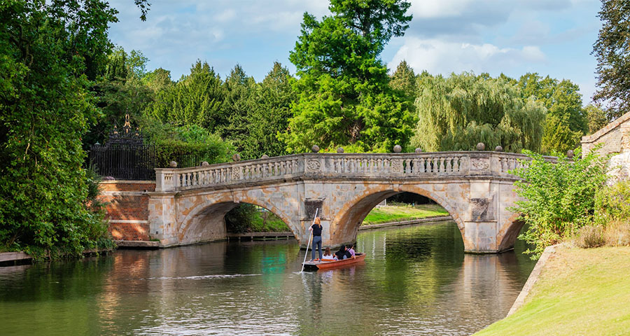 University of Cambridge - Academic Advisor