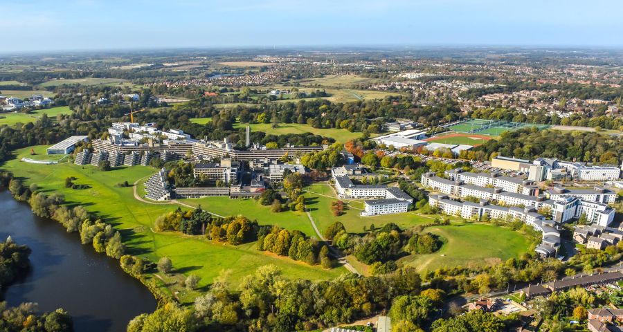 UEA, Программа Newton A-level - Academic Advisor