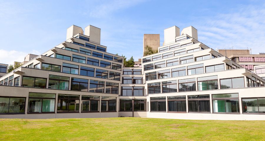 UEA, Программа Newton A-level - Academic Advisor