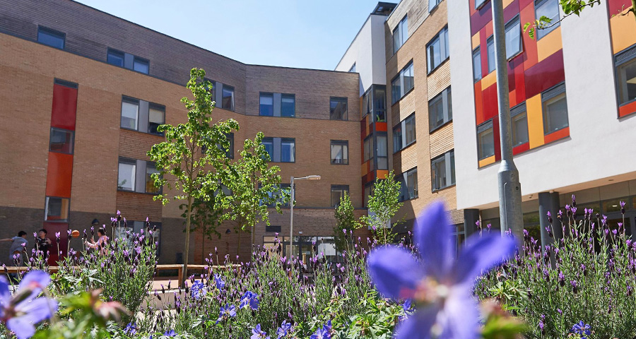 Abbey College Cambridge - Academic Advisor