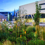 University of Huddersfield