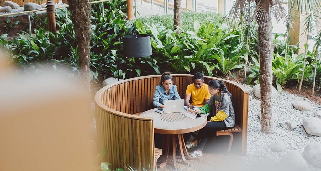 University of Essex - Academic Advisor