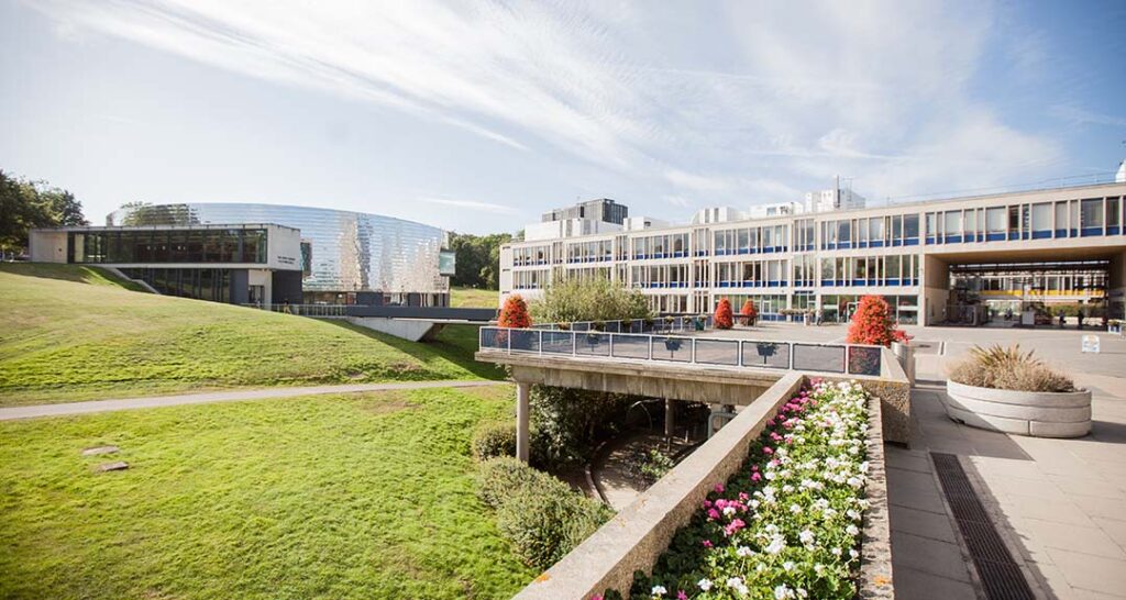 University of Essex - Academic Advisor