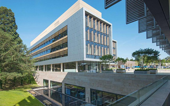 Наше сопровождение - Academic Advisor