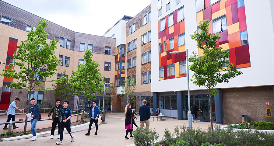 Программа среднего образования A-level - Academic Advisor