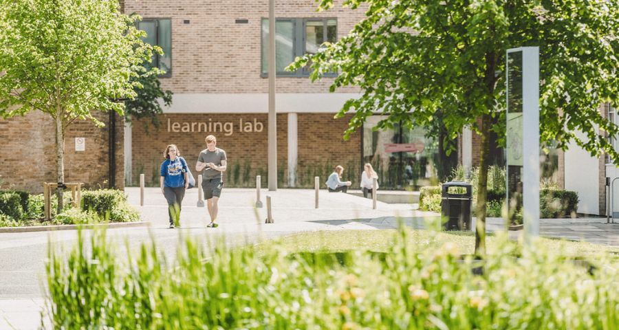 Наше сопровождение - Academic Advisor