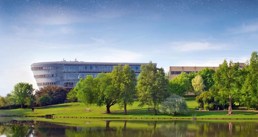 Наше сопровождение - Academic Advisor