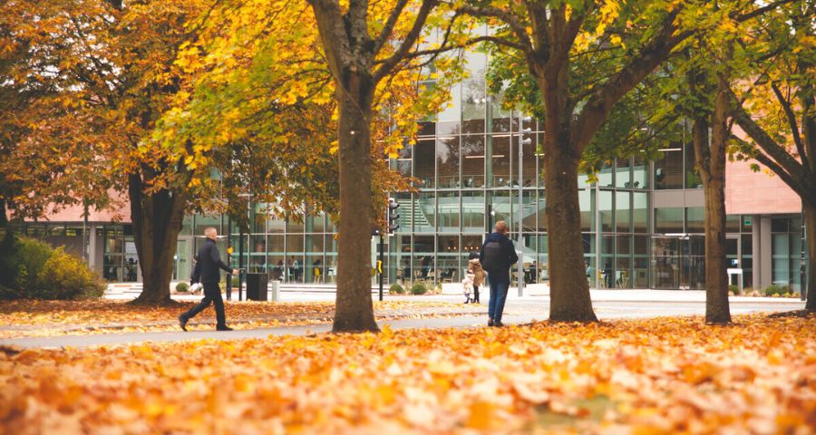 Наше сопровождение - Academic Advisor