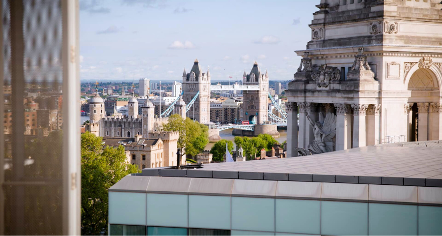 David Game College Summer School - Academic Advisor