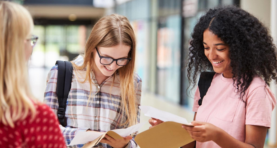 David Game College Summer School - Academic Advisor