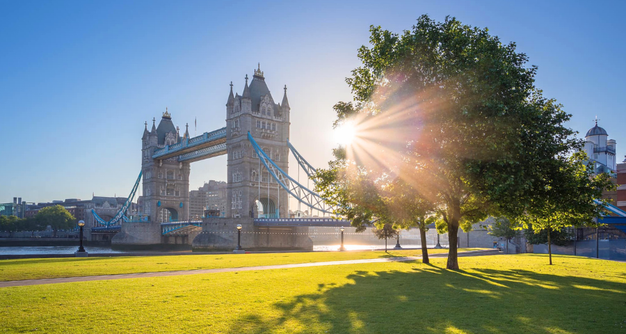 David Game College Summer School - Academic Advisor