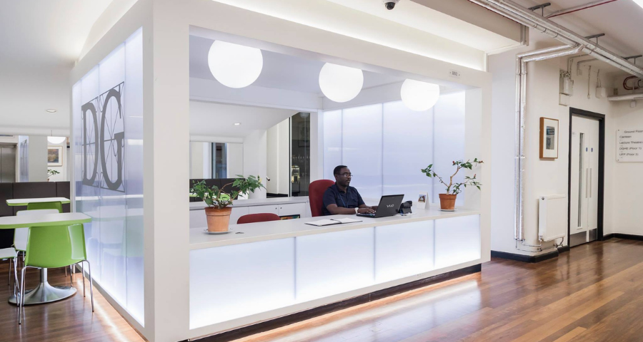 David Game College Summer School - Academic Advisor