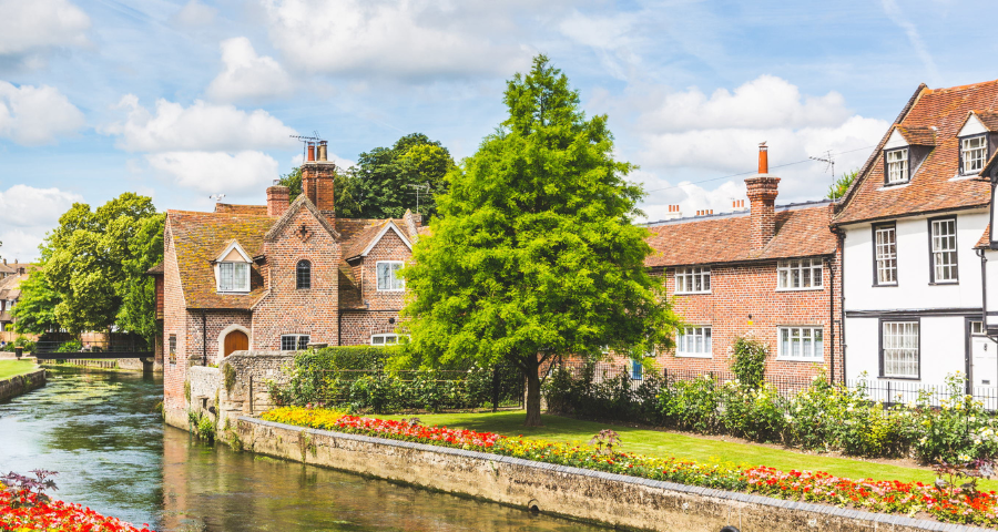 The Worthgate Summer School - Academic Advisor