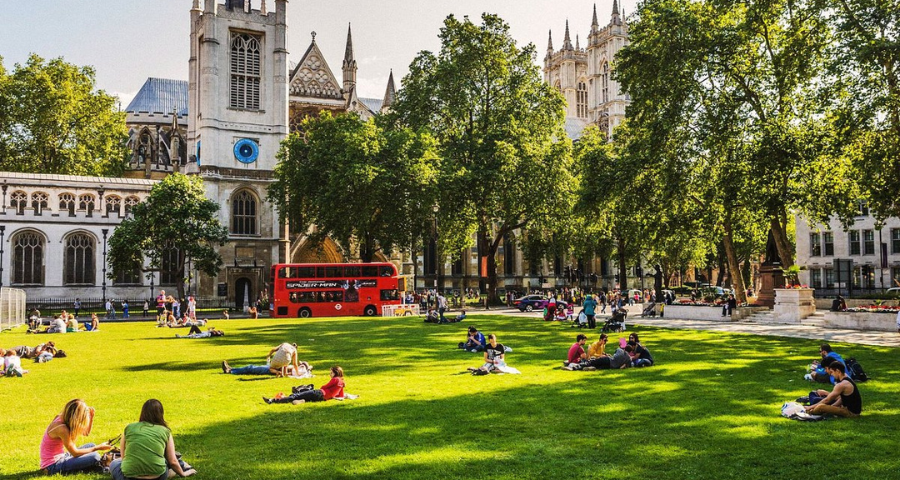 Guildhouse Summer School - Academic Advisor