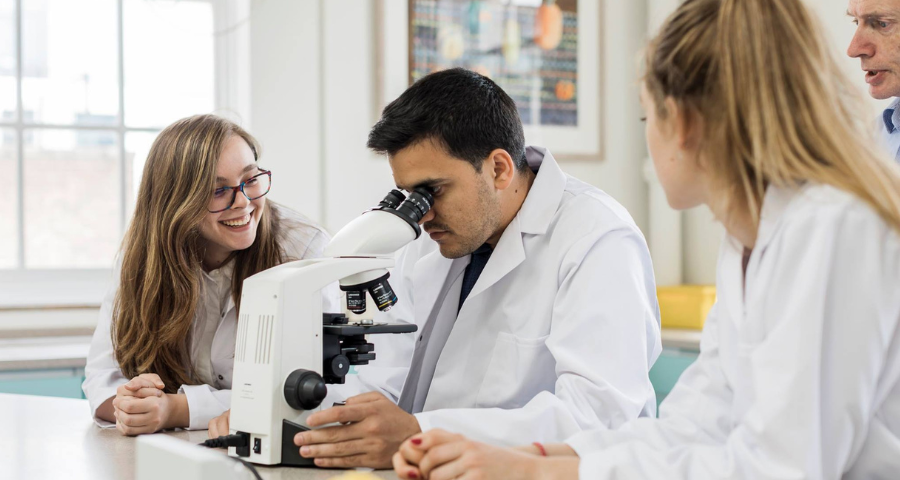 David Game College Summer School - Academic Advisor