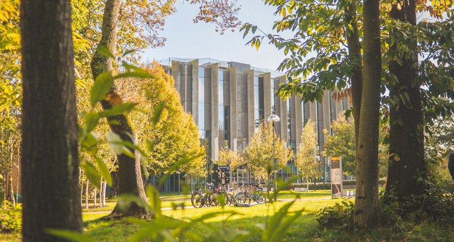 University of Kent - Academic Advisor