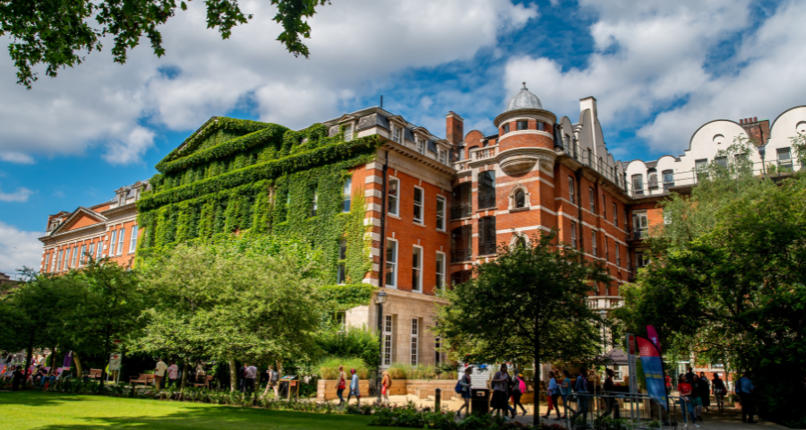 Medicine Summer School (King’s College London) - Academic Advisor