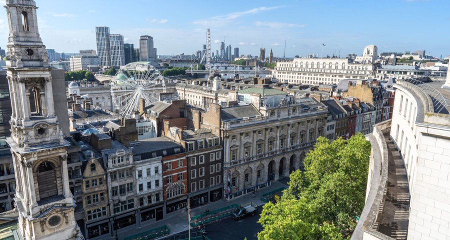 Medicine Summer School (King’s College London) - Academic Advisor