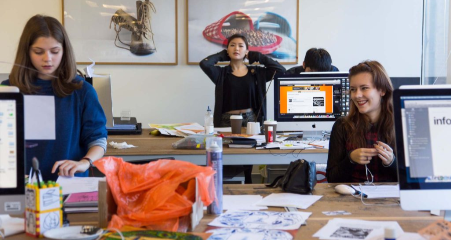 CSVPA Summer School - Academic Advisor