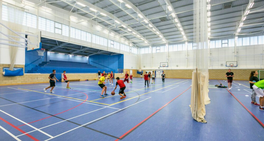 Bede’s Summer School (Dicker) - Academic Advisor